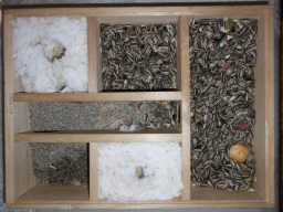 ハムスターの家