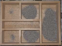 『地下型の巣箱』のトイレ