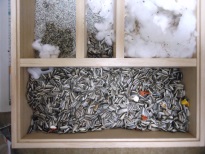 ハムスターの貯蔵