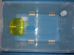 ハムスターの飼育セット