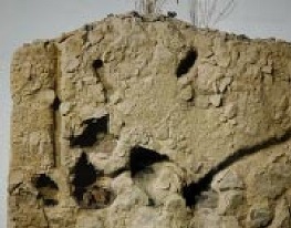 ハムスターの巣穴