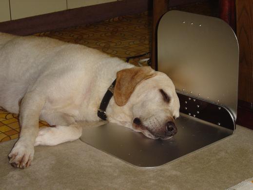 ペットのの冷房装置