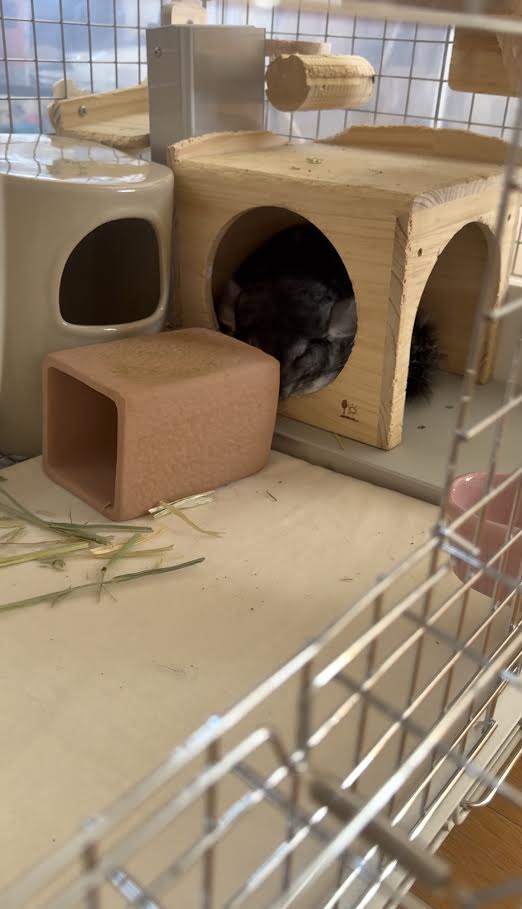 シナモンロール